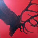 Fontaines D.C. - Skinty Fia  (LP) - Discords.nl