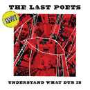 Last Poets - Understand what dub is (LP) - Discords.nl