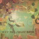 Blind Shake - Key to a false door (CD) - Discords.nl