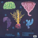 Agar Agar - Agar Agar - Cardan (12") (12") - Discords.nl