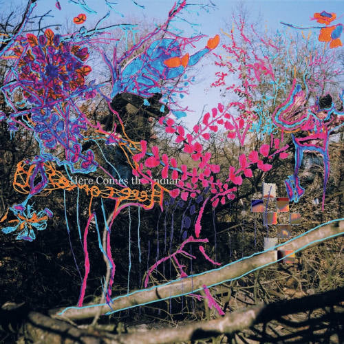 Animal Collective - Here comes the indian (LP) - Discords.nl