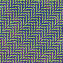 Animal Collective - Merriweather post pavillion (LP) - Discords.nl