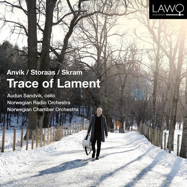Audun Sandvik - Trace of lament (CD) - Discords.nl