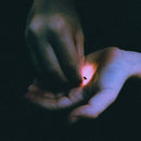 Bambara - Stray (LP) - Discords.nl