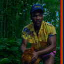 Childish Gambino - Bando stone and the new world (LP) - Discords.nl