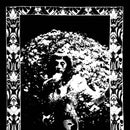 Cindy Lee - Model express (LP)