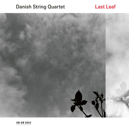 Danish String Quartet - Last leaf (LP) - Discords.nl