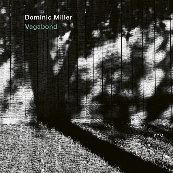 Dominic Miller - Vagabond (LP) - Discords.nl