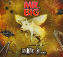 Mr. Big - What If... (CD) - Discords.nl