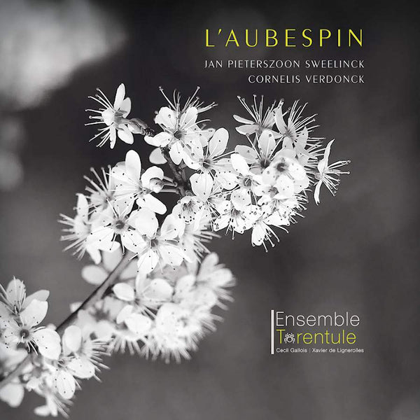 Ensemble Tarentule - L'aubespin (CD) - Discords.nl