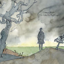 James Blake - The colour in anything (LP) - Discords.nl