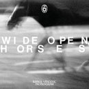 James Vincent McMorrow - Wide Open, Horses (LP) - Discords.nl