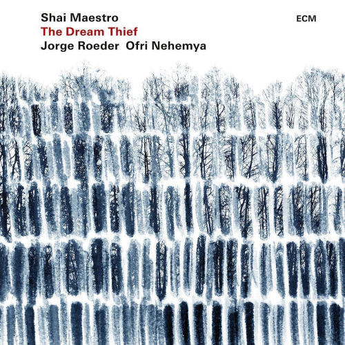 Shai Maestro - Dream thief (LP) - Discords.nl