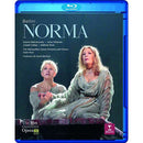 Diego Dini Ciacci - Norma (live from met) (DVD / Blu-Ray) - Discords.nl