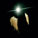 Midwife - Forever (LP) - Discords.nl