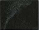 Nickelback - Dark Horse (CD) - Discords.nl