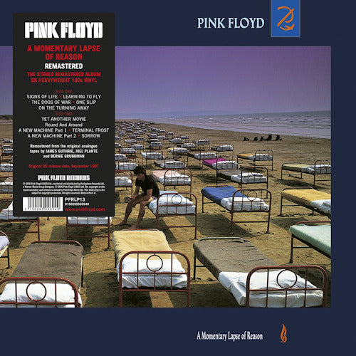 Pink Floyd - A momentary lapse of reason (LP) - Discords.nl