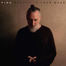Fink - Beauty In Your Wake (LP) - Discords.nl