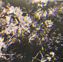 Ben Howard - I Forget Where We Were (LP) - Discords.nl