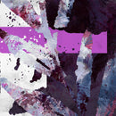 The Album Leaf - Future falling (LP) - Discords.nl