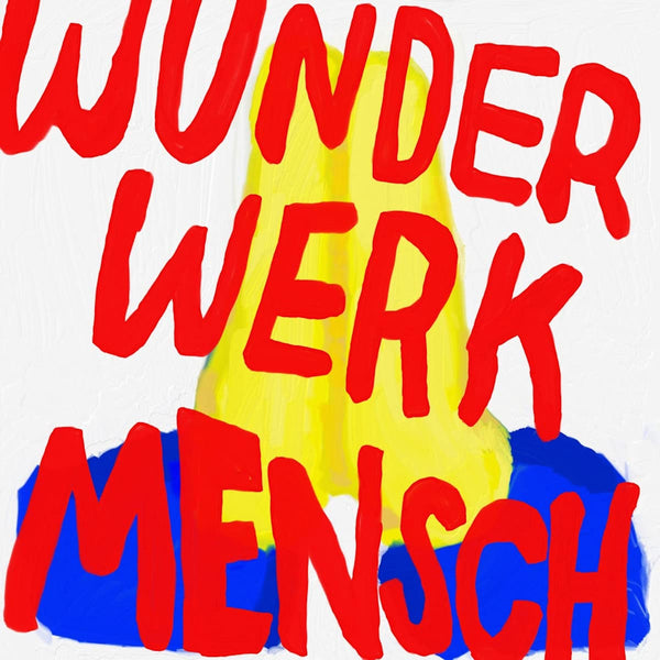 The Screenshots - Wunderwerk mensch (LP) - Discords.nl