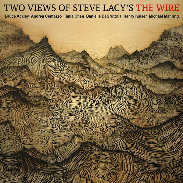 Bruce Ackley & Andrea Centazzo & Tania Chen & Dan - Two views of steve lacys the wire (CD) - Discords.nl