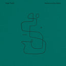 Vega Trails - Tremors in the static (LP) - Discords.nl