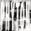 Yosa Peit - Phyton (LP) - Discords.nl