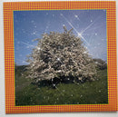 Caribou - Honey (LP) - Discords.nl