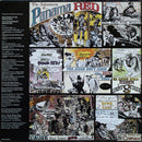 New Riders Of The Purple Sage - The Adventures Of Panama Red (LP Tweedehands) - Discords.nl