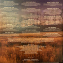 Lainey Wilson - Whirlwind Deluxe (LP) - Discords.nl