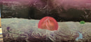 Magdalena Bay - Mercurial World  (LP) - Discords.nl