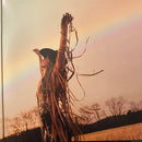 Lainey Wilson - Whirlwind Deluxe (LP) - Discords.nl