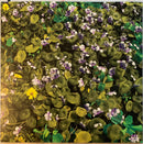 Tkay Maidza : Last Year Was Weird, Vol. 3 (12", EP, Ltd, Blu)