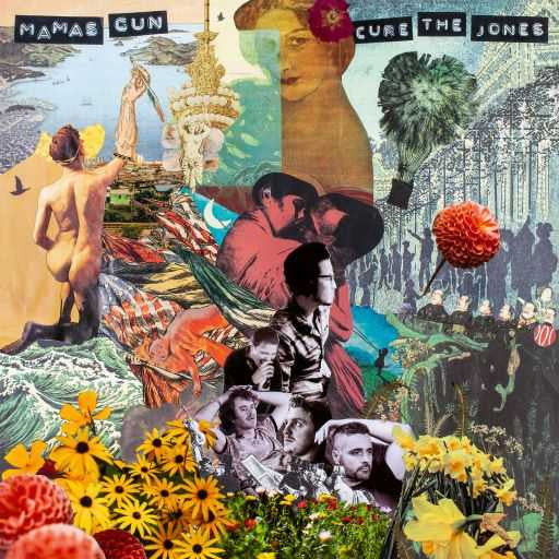 Mamas Gun : Cure The Jones (CD, Album)