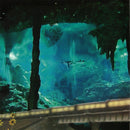 The Asteroids Galaxy Tour : Fruit (CD, Album)