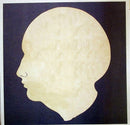 Bombay Bicycle Club - A Different Kind Of Fix (LP) - Discords.nl