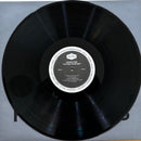 Andrew Bird - Outside Problems  (LP) - Discords.nl