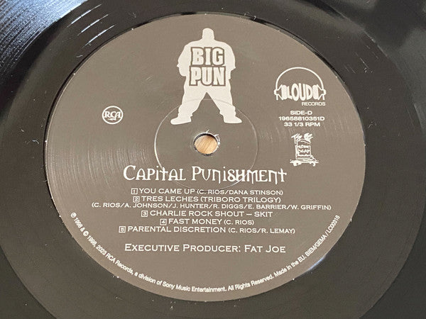 Big Punisher - Capital Punishment (LP) - Discords.nl