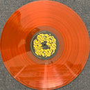 Monae, Janelle - Age of Pleasure (LP) - Discords.nl