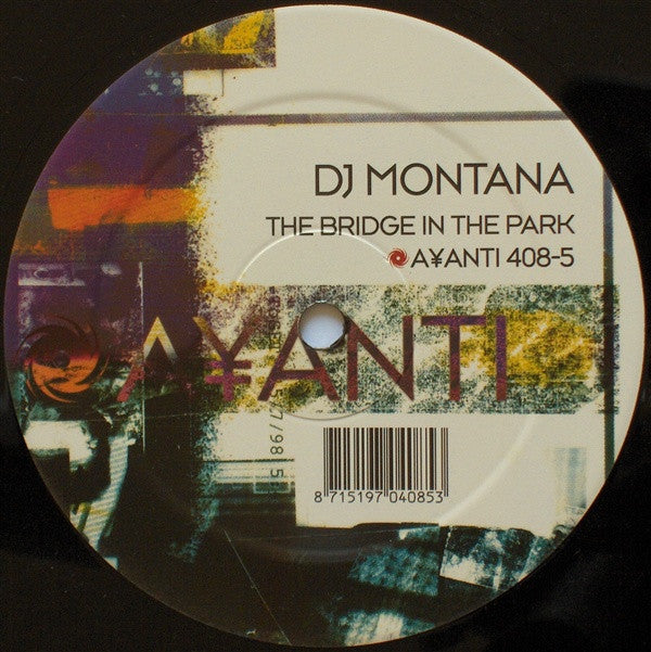 DJ Montana - The Bridge In The Park (12" Tweedehands) - Discords.nl