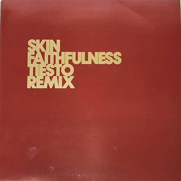 Skin - Faithfulness (Tiesto Remix) (12" Tweedehands) - Discords.nl