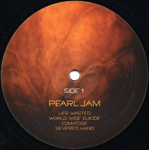 Pearl Jam - Pearl Jam (LP) - Discords.nl