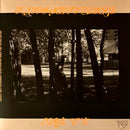 Mitski - The Land Is Inhospitable And So Are We (LP) - Discords.nl
