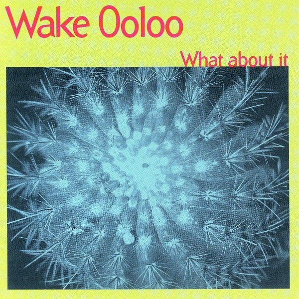 Wake Ooloo - What About It (CD Tweedehands) - Discords.nl