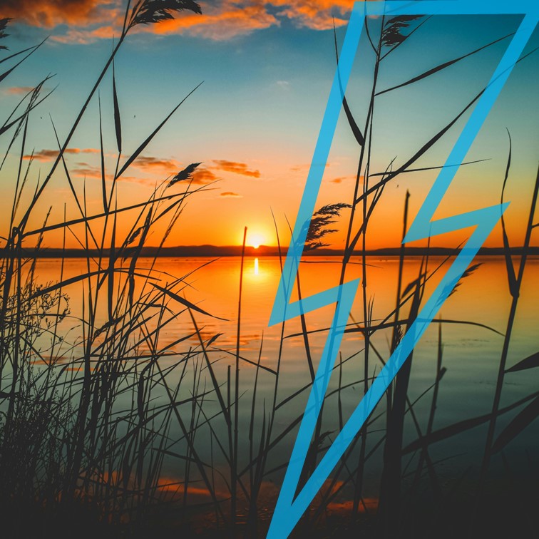 BLOG #96 - Nieuwe aanwinsten, Pre-orders, Top 33, Festivalcollecties, Voordeel Albums en Discords Radio Tips