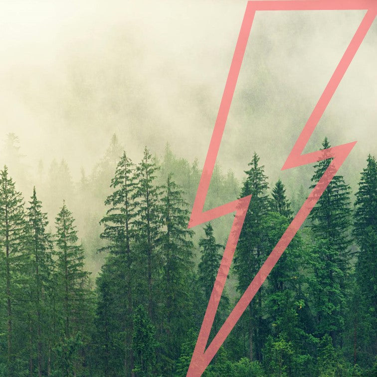BLOG #99 - Nieuwe aanwinsten, Pre-orders, Festivalcollecties, Voordeel Albums en Discords Radio Tips