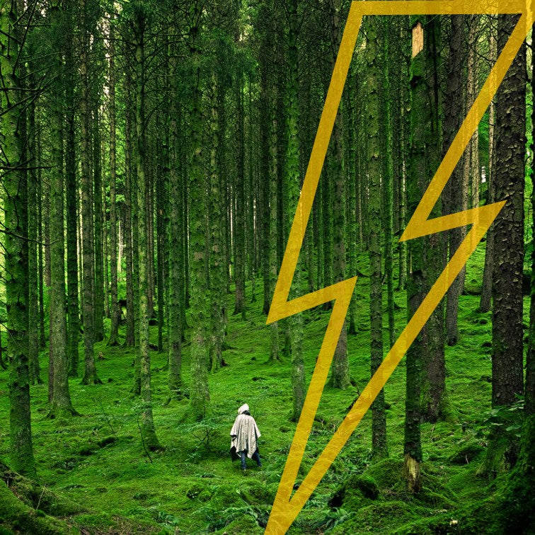 Storm van geluid, Nieuwe aanwinsten, Pre-orders, Kikke kortingen, Concerttips en Discords Radio Tips (blog #186 )