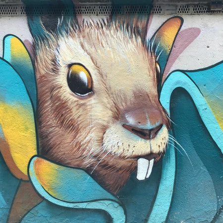 Down The Rabbit Hole 2025