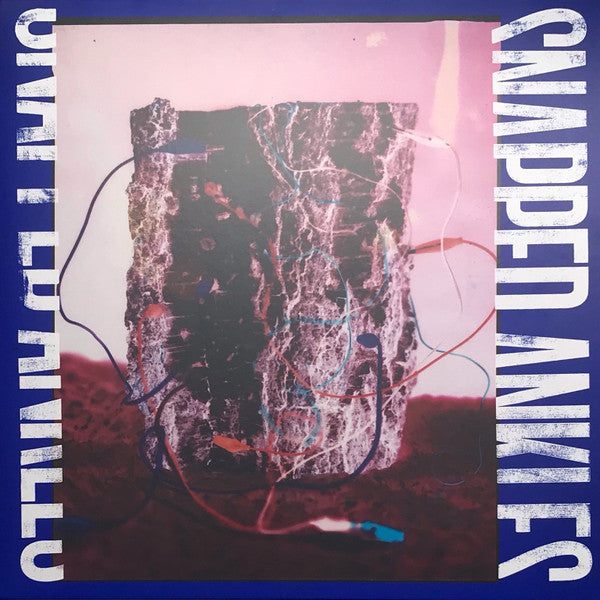 Snapped Ankles - Forest Of Your Problems (LP) - Discords.nl
